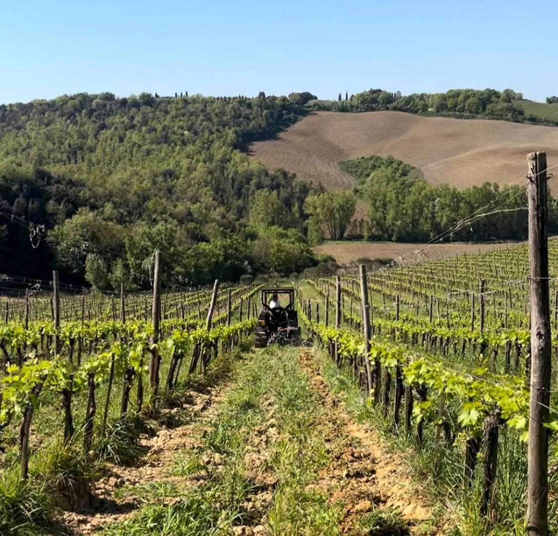 Bed & Breakfast Podere Sole Trequanda Italien